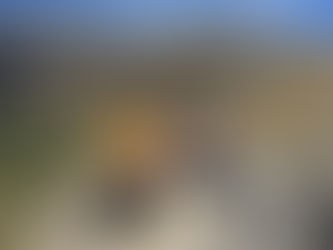 Christchurch to the West Coast via Motorhome – a travellers guide