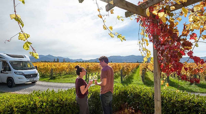 campervan vineyard trips.jpg