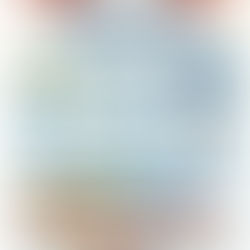 Infographic showing highlights of a 38 day campervan itineray around the south island