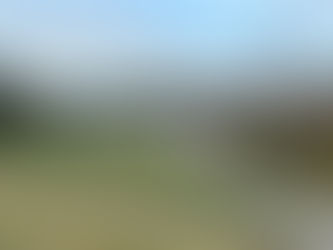 View of the NZMCA 'The Willows' campervan park