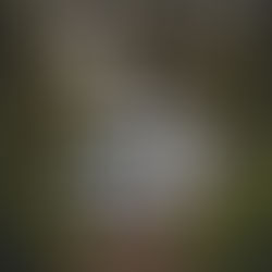 Where Can I Freedom Camp in Christchurch