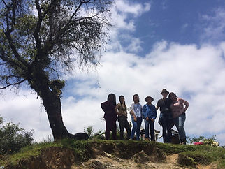 PsillyGirls Huautla Trip