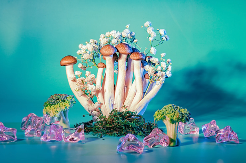 Psilocybin