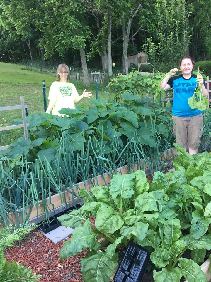 farm4