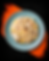 Special Fried Rice