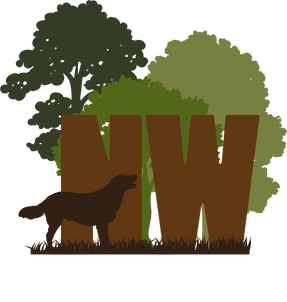 nw logo_02.png