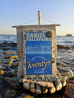 Flotte_strand_liten.jpg