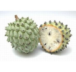 fruta-do-conde-300x199-258x245