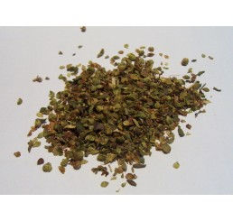 Oregano-spice-258x245
