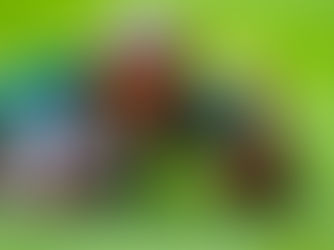 RUGBY: Mapimpi word geskors vir 5 wedstryde, Bulls staar skorsing in die gesig en Leeus sukkel met beserings