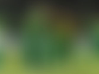 KRIEKET: Proteas Vroue beklink hulle reeks na nog 'n oorwinning