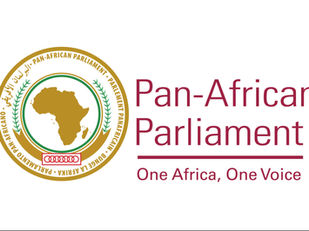 Die Suid-Afrikaanse afvaardiging by die Pan-Afrika-parlement het die land verdedig teen bewerings van xenofobie