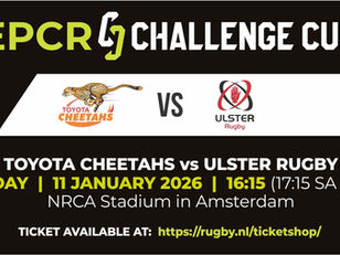 RUGBY: Cheetahs maak gereed vir ysige Ulster-toets in Amsterdam