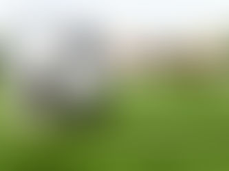 SOKKER: Die Wolves veg terug om Brentford gelykop te hou