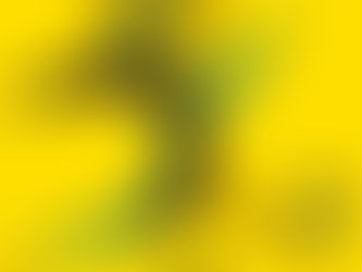 SOKKER: Banyana maak gereed vir WAFCON-kwalifiseerder