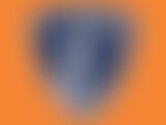 KRIEKET: Die Flexbrands Knights palm die CSA T20 Knockout-titel in