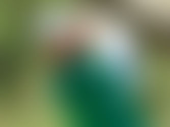 GHOLF: Oosthuizen blink uit in die Hongkong-Ope