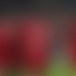 SOKKER: Liverpool beëindig vier-wedstryd verlies met 'n 5-1 oorwinning