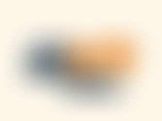 Die regering staar kritiek in die gesig oor forensiese dienste