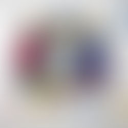 KRIEKET: Die Warriors het hul eerste T20 Challenge-titel in 15 jaar verower