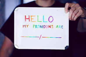 034_Sexual orientation & gener identity in P.A._person holding sign that says hello my pro
