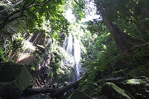 Waterfall.jpeg
