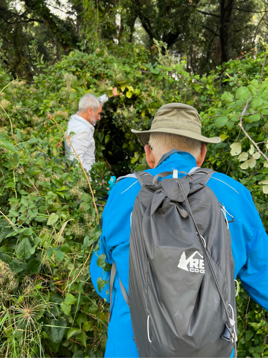 Nature Walk on Korčula: "Ted and Margaret enjoying a serene nature walk on Korčula, surrounded by lush greenery and picturesque landscapes."