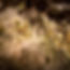 Private one-way transfer from Zagreb to Postojna Cave or Predjama