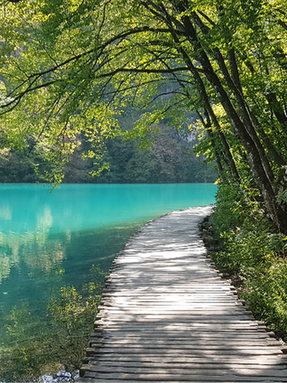 Scenic wooden walkways snaking through the verdant landscape of Plitvice Lakes.