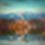 Private one-way transfer from Zagreb to Bled Lake