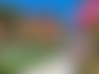 Losinj in the Kvarner Riviera