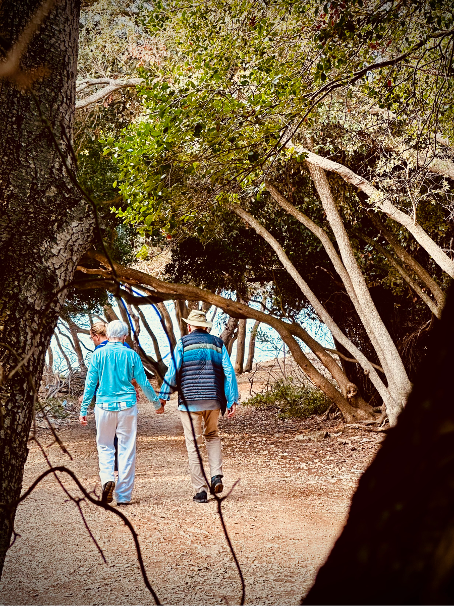 Brijuni Island Tour: "Exploring the historical and natural sights of Brijuni National Park."