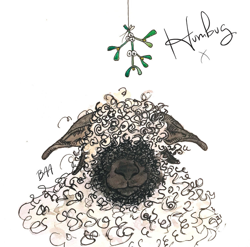 Change of Scene Christmas Cards