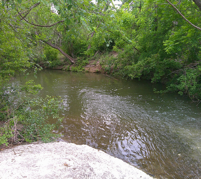 DSCF0024 Gillighan Park .JPG