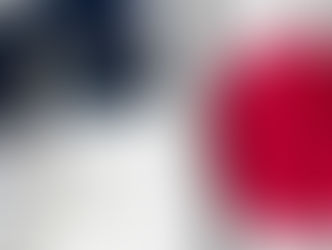 passport Japan travel visa