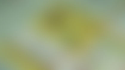 HOW BAY AREA ENTITIES ARE HELPING SNAP RECIPIENTS