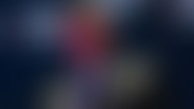 CANADIAN MINISTER FOR U.S-CANADA TRADE WILL MEET U.S. TRADE CHIEF IN WASHINGTON