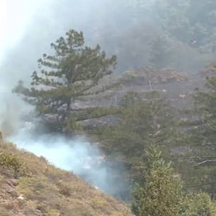 TIMBER FIRE IN BIG SUR GROWS TO 4,545 ACRES AMID TOUGH CONDITIONS