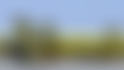 SPIRIT AIRLINES WILL STOP BAY AREA SERVICE