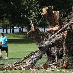 TRUMP SAYS WASHINGTON GOLF COURSE PROJECT WILL START IMMEDIATELY, DESPITE JUDGE'S ORDER