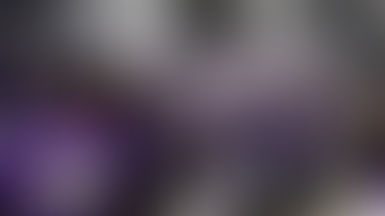 SAN FRANCISCO COURT CLERKS STRIKE FOR BETTER STAFFING AND TRAINING