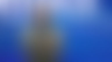 BRAZIL'S NEW FINANCE MINISTER WILL DELAY DIVISIVE TAX PLANS AHEAD OF ELECTION