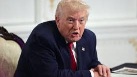 TRUMP VOWS TO FREEZE MIGRATION FROM ‘THIRD WORLD COUNTRIES’ AFTER D.C. ATTACK