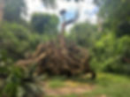 carved by susanne wenger, sculpture of the yoruba orisha at osun osogbo grove