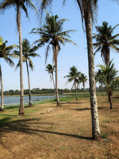 IITA Lakescape - Ibadan