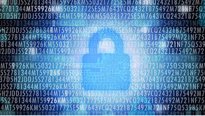 Proactive versus reactive cyber security