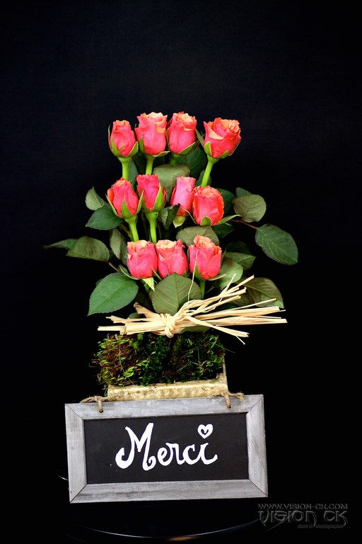 IMG_5802 (LOGOTE).jpg