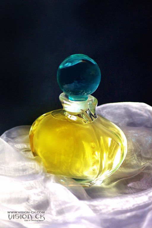 DE3A5025 (LOGOTE).jpg