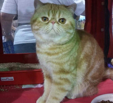 Screenshot_20200726-173754_Facebook (1)_edited.jpg