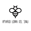 Captura de pantalla 2026-04-15 190047.png
